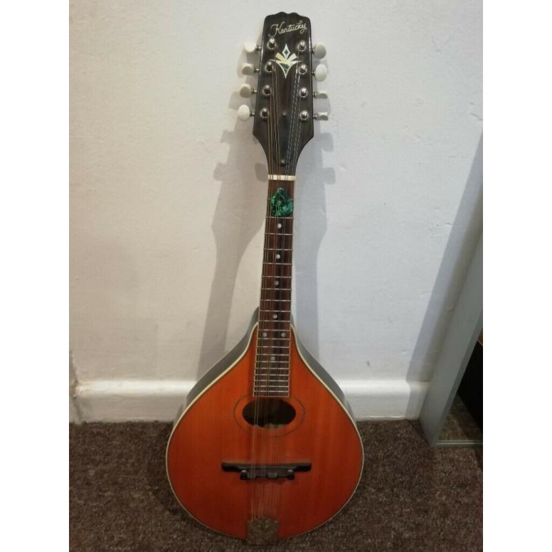 Mini Mandolin - music instrument - excellent condition - Bristol City centre -