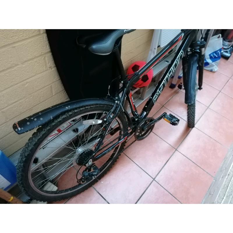 Small adults mountain bike