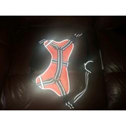 Hi viz dog harness