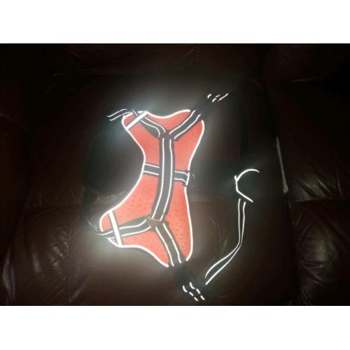 Hi viz dog harness
