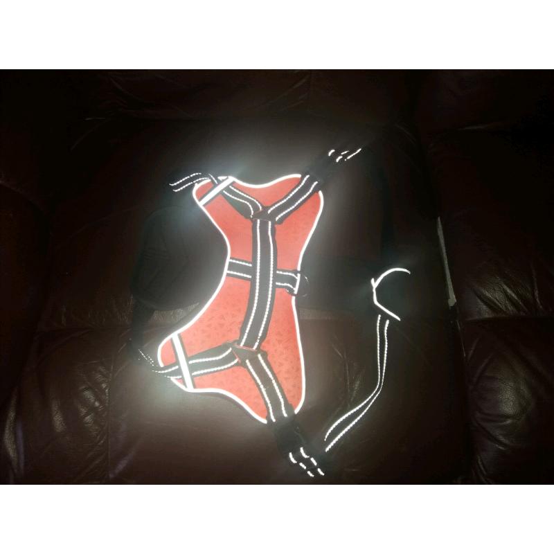 Hi viz dog harness