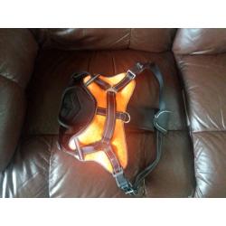 Hi viz dog harness