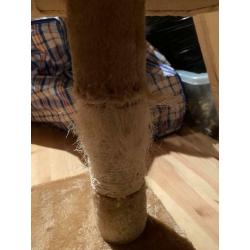 Cat scratching post/play centre