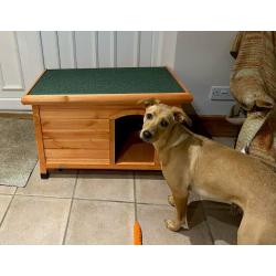 Dog Kennel