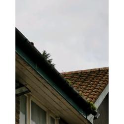 Gutter clearance