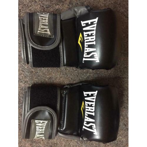 EVERLAST STRIKING PADS
