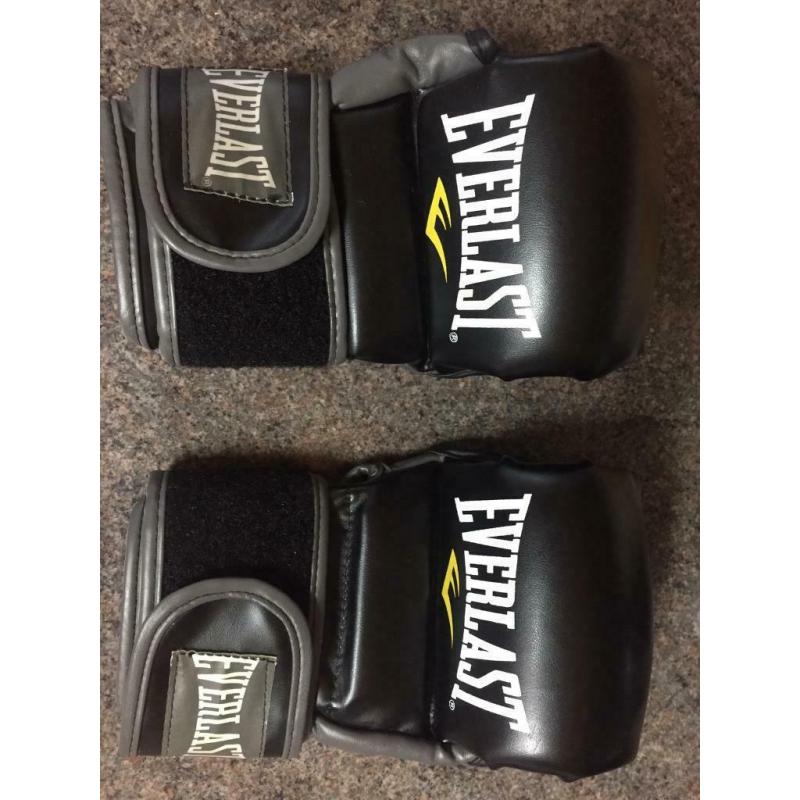 EVERLAST STRIKING PADS