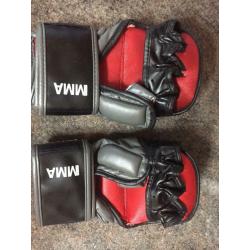 EVERLAST STRIKING PADS