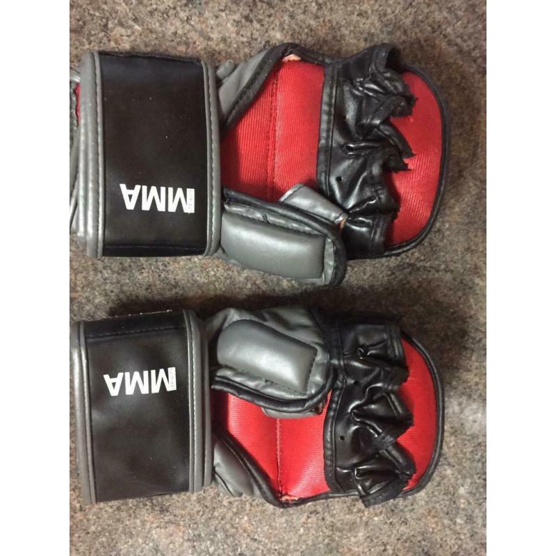 EVERLAST STRIKING PADS