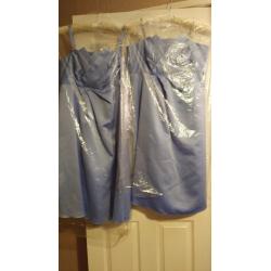 Bridesmaid/Occasion dress