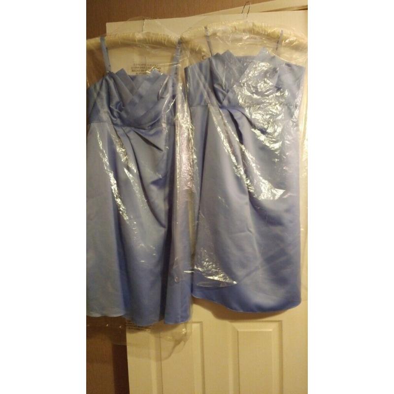 Bridesmaid/Occasion dress