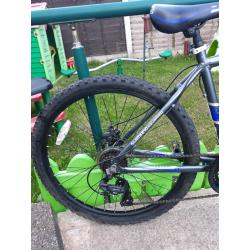 cross fxt 500 mountain bike