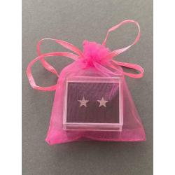 Stud star earrings in stainless steel