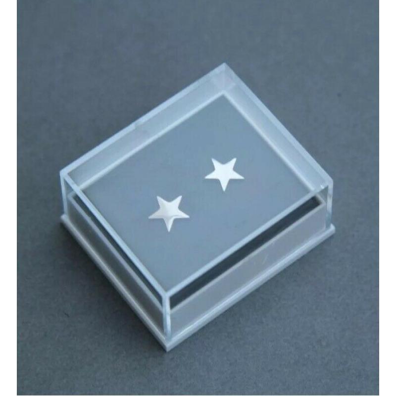 Stud star earrings in stainless steel