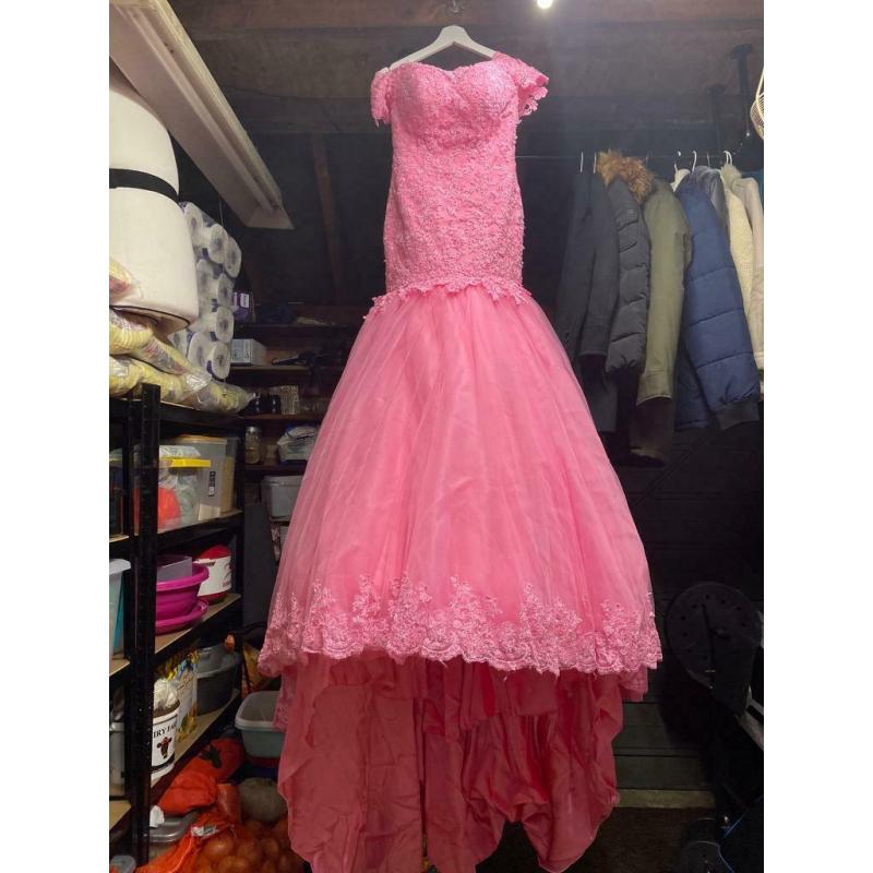 Pink Engagement/Wedding/Party Dress