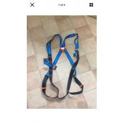 Safety harness