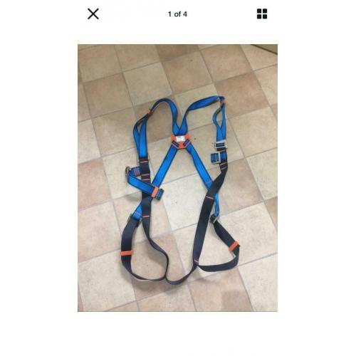Safety harness