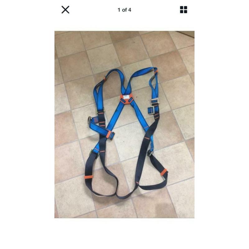 Safety harness