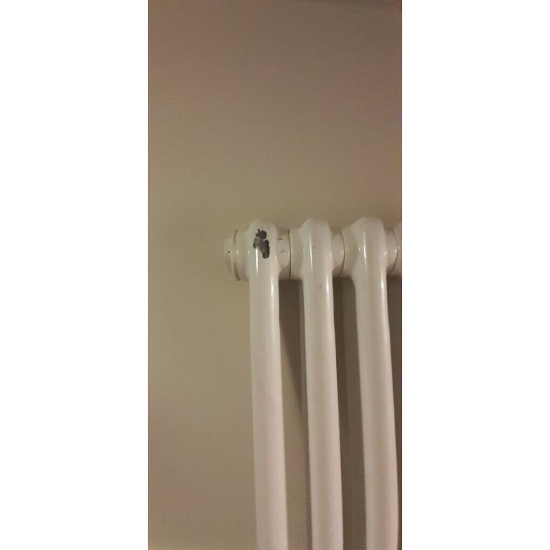 Verticle radiator 45 x 200cm