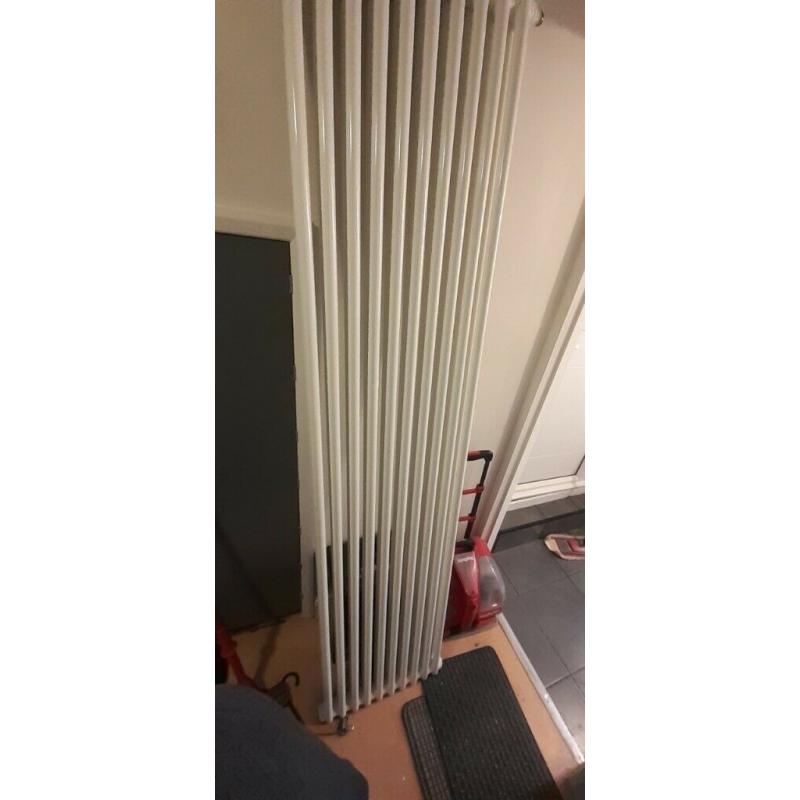 Verticle radiator 45 x 200cm