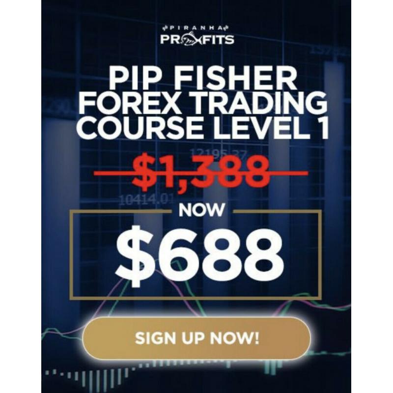 Adam Khoo Stock Trading Course - Forex Trading Course - 7 Courses