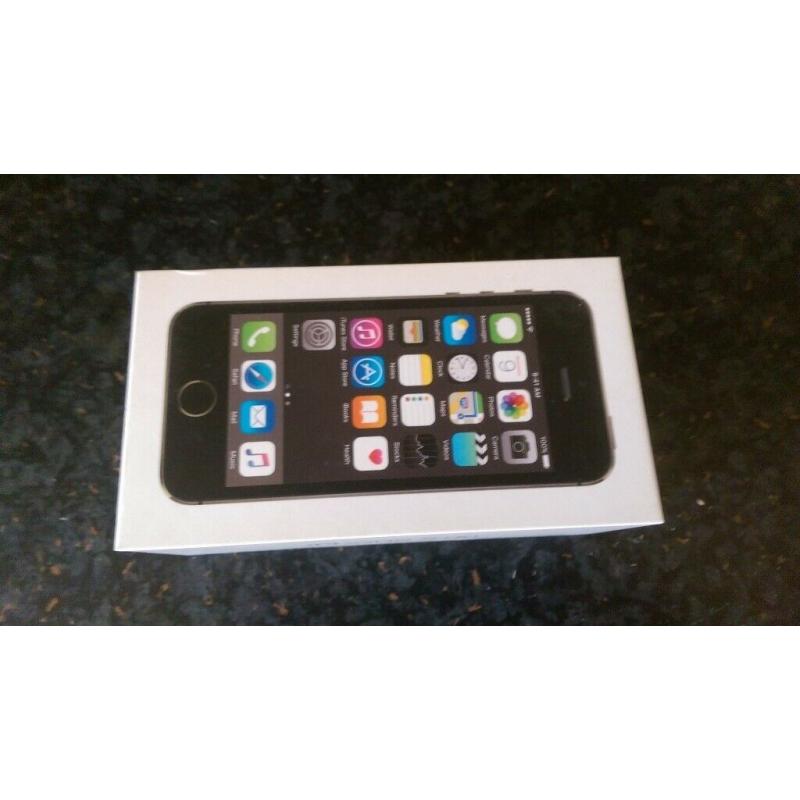 Case & Box for Apple iPhone 5s