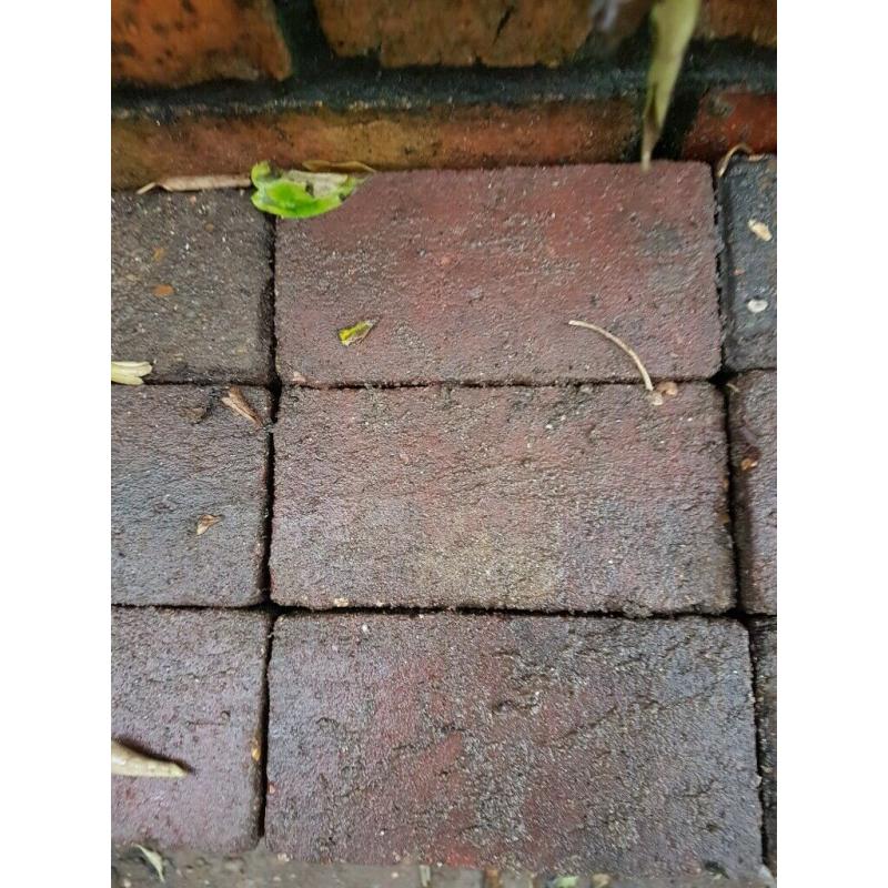 Brick pavers circa 800